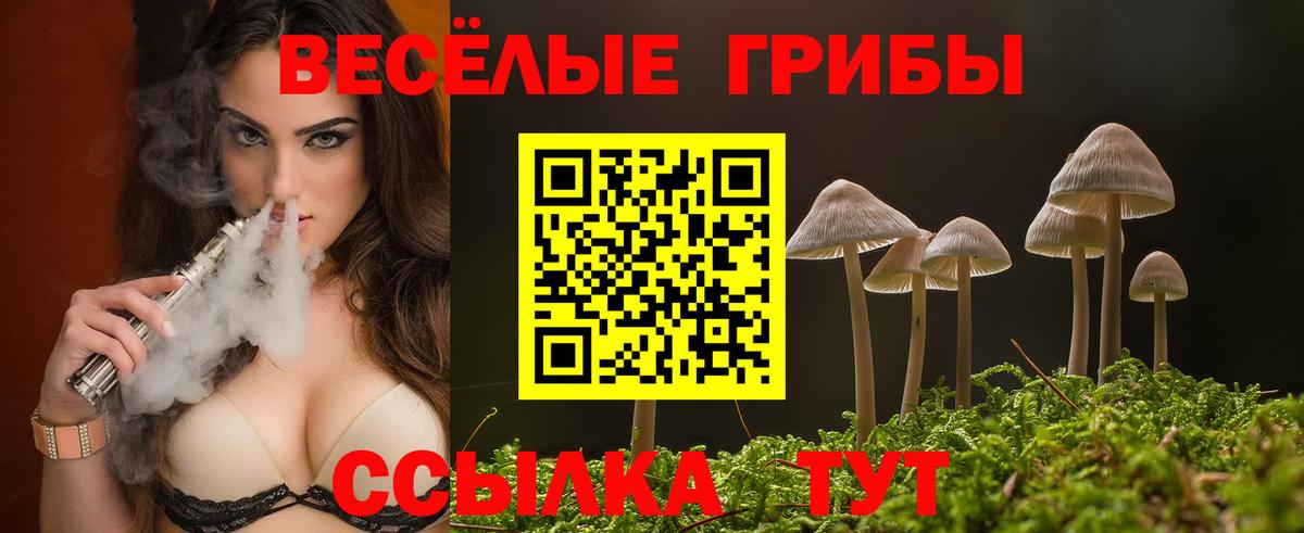 купить  цена  Галлюциногенные грибы MAGIC MUSHROOMS  Вход с VPN  Искитим 